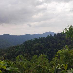 mother bright and hero father