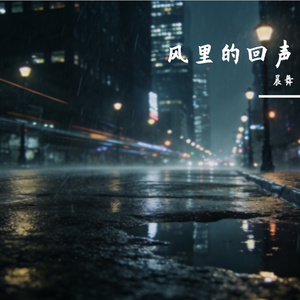 风里的回声