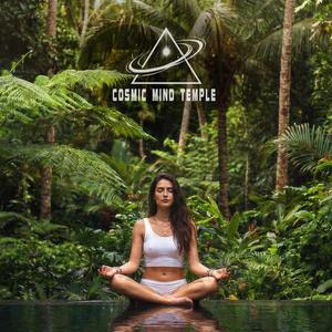 Deep Forest Awareness