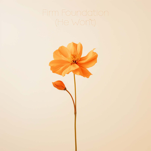 Firm Foundation (He Won't)