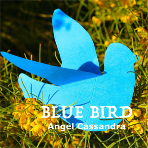 Blue Bird