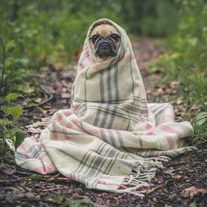 Black(prod.百川）