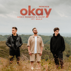 Okay (Toby Romeo Remix)
