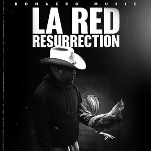 BONAERO MUSIC X POLO JOA PAL PUN