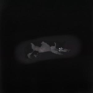 Competition Freestyle(Prod by MayMoney&Stephenday)