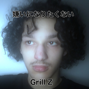 嫌いになりたくない