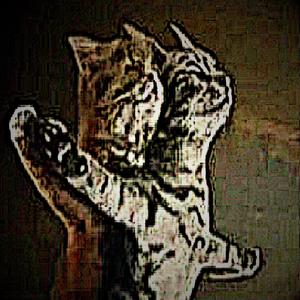 bag w feng (feat. Feng)