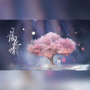 落花情
