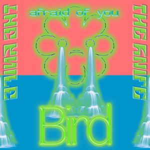 Bird (Edit)