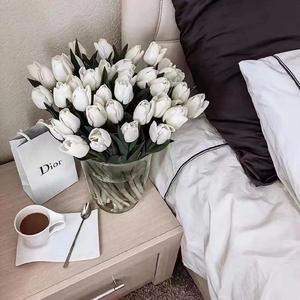 夜阑三更时另类