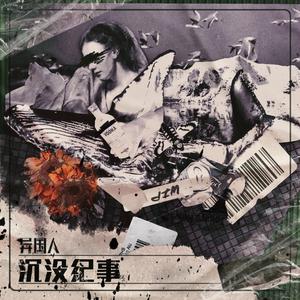 鸷鸟搁浅历史记录