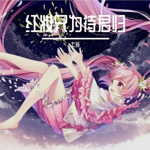 红妆只为待君归