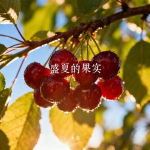 盛夏的果实 (Cover 半吨兄弟)
