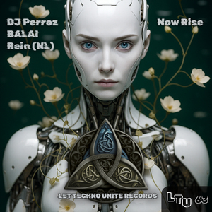Now Rise (Hypnotic Drive mix)