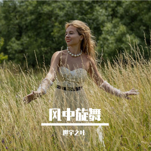 风中旋舞