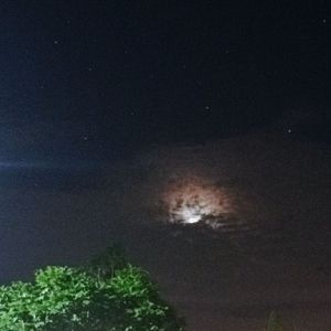 遇见你的时候所有星星都落到我头上