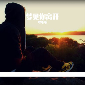 梦见你离开-纯音乐