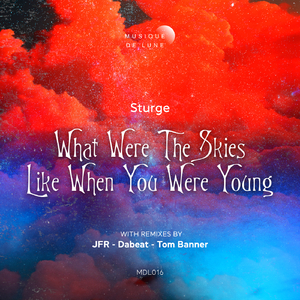 What Were the Skies Like When You Were Young (JFR Remix)