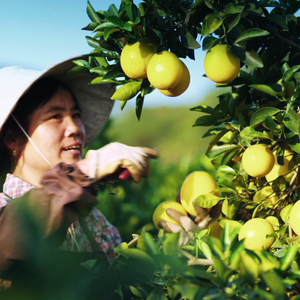《我们的村庄大变样》-赣州市文化馆扶贫点东田村村歌