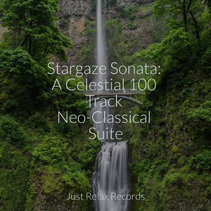 Lagoon's Echoes Dance