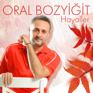 Hayaller