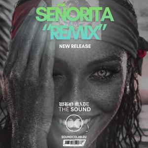 SEñORITA (REMIX)