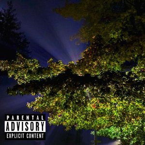 Впал в ступор