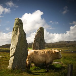 Stone Age Time Machine