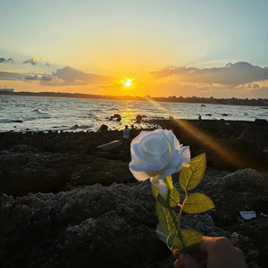 nahxa eytsam aglamsan