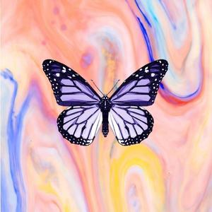 I DO NOT CARE AT ALL!