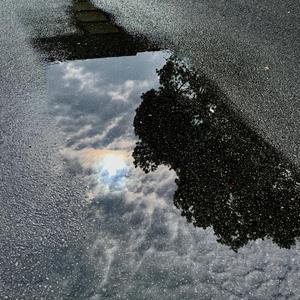 这场雨过后 风就有了秋天的味道