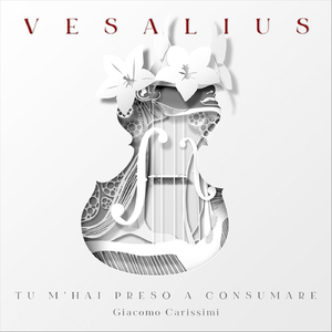 Tu M'hai Preso a Consumare