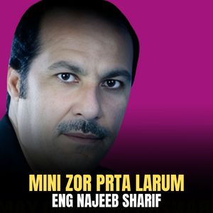 Mini Zor Prta Larum