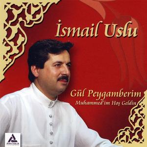 Medine'ye Varamadım