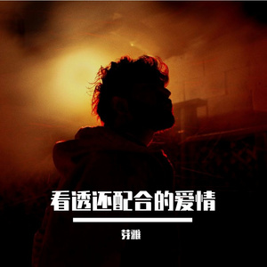 看透还配合的爱情