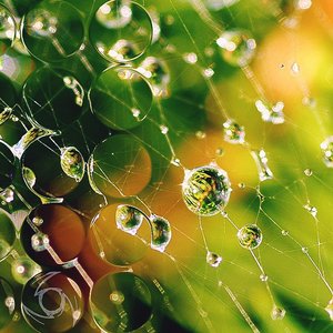 It's Not Safe Outside