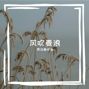 风吹麦浪 伴奏