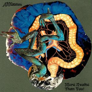 Oletko Koskaan Nähnyt Oikein Viisasta Miestä?