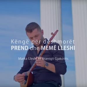 Këngë për Dëshmorët PREND dhe MEMË LLESHI