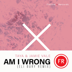 Am I Wrong (Eli Bury Remix Extended Mix)