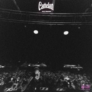 Cattelan