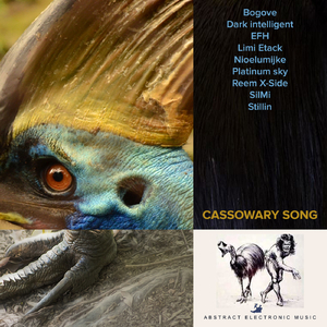 Cassowary Running (SilMi Remix)