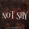 宁崽 - Not Shy