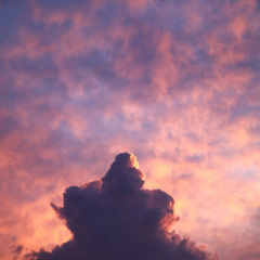 《你莫走我不走》帝姐：女：，哥哥哥哥我不走