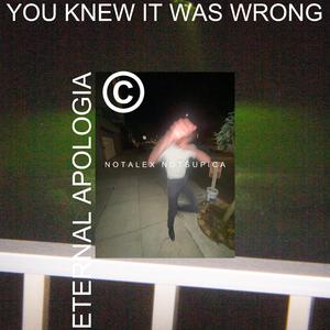 YOU KNEW IT WAS WRONG