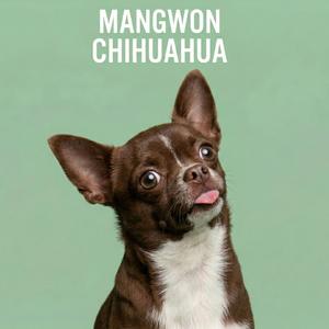 帰り道 (Way Home)