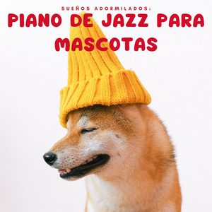 Serenata De Piano Para Mascotas