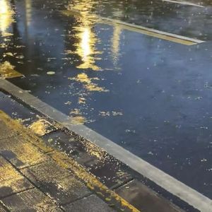 情歌