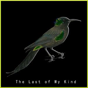 Last of My Kind (feat. MESMIR)