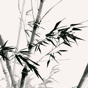 [FREE]"竹林"-国风巴吞鲁日Type Beat